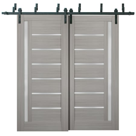 Sartodoors Barn Bypass Interior Door, 64" x 80", Gray QUADRO4088BBB-SSS-64